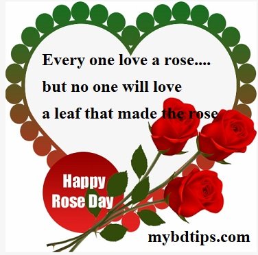 Happy rose day quotes