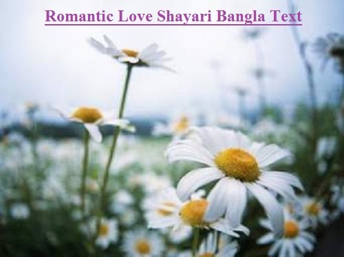 Romantic Love Shayari Bangla Text