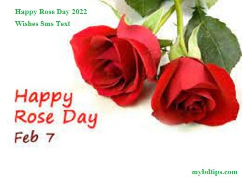 Happy Rose Day 2022 Wishes Sms Text