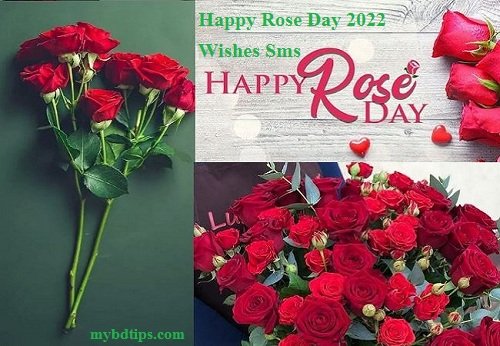 Happy Rose Day 2022 Wishes Sms
