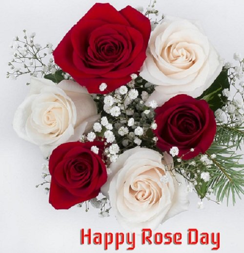 happy rose day 2024 sms quotes